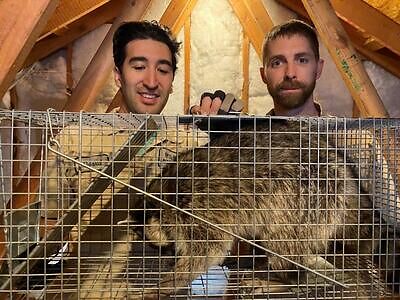 Saint Petersburg pest control